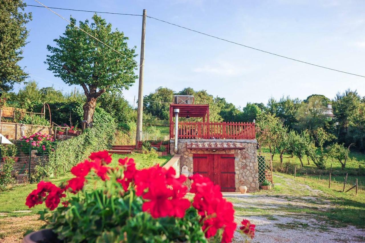 La Finestra Sul Castello Daire Arcidosso Dış mekan fotoğraf